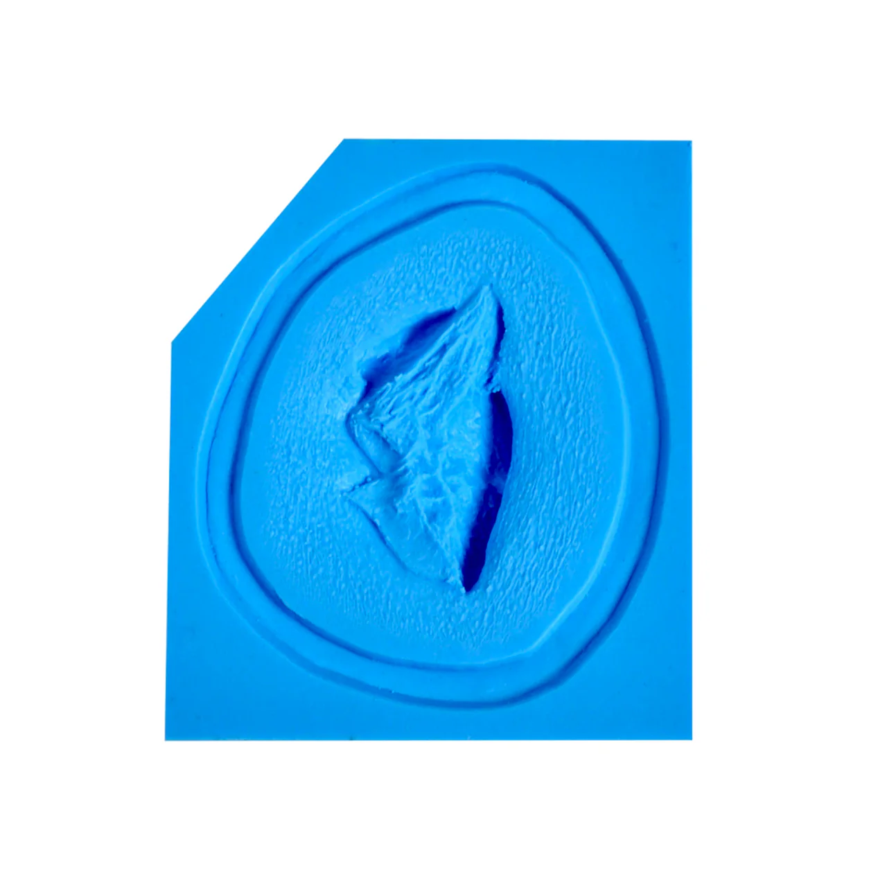 Avulsion Molds Medium