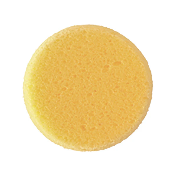 Hydra Sponge