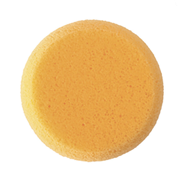 Hydra Sponge - Image 2