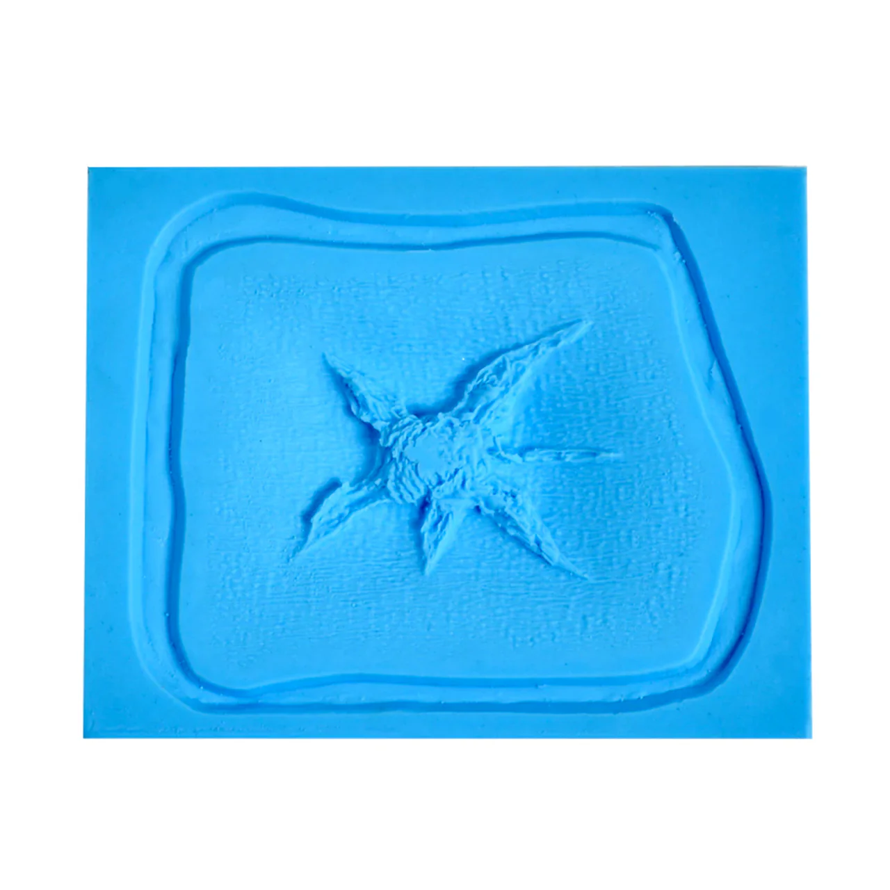 Bullet Hole Molds Exit 6 Point Starfish