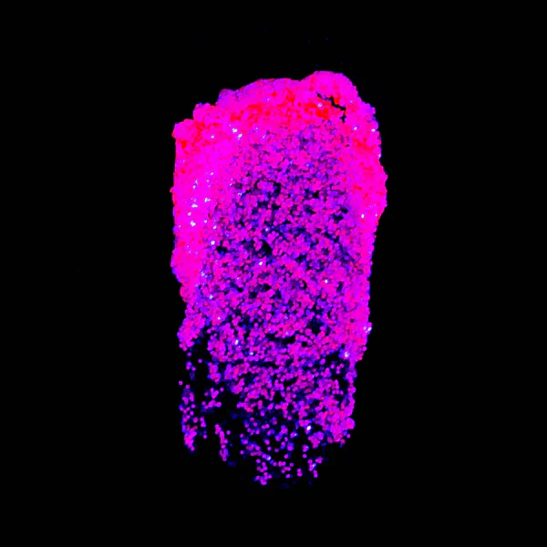 GlowJam Cosmic UV Glitter Balm - Image 24