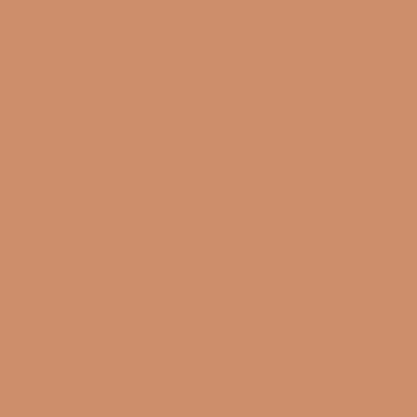 Color Process Foundation, KL Series - Image 5