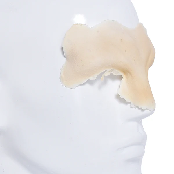Foam Latex Prosthetic Leonine Forehead - Image 2