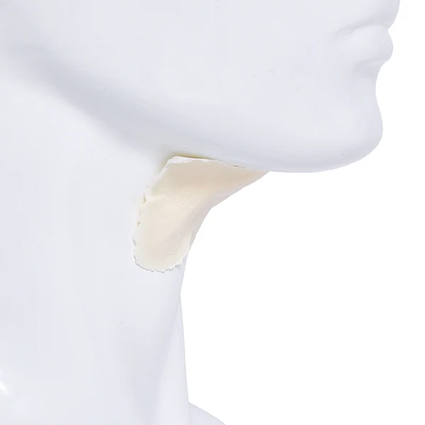 Foam Latex Prosthetic Neck Wattle #2 - Image 2