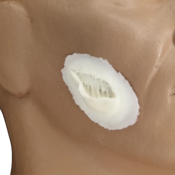 Foam Latex Prosthetic Skin Gouge - Image 2