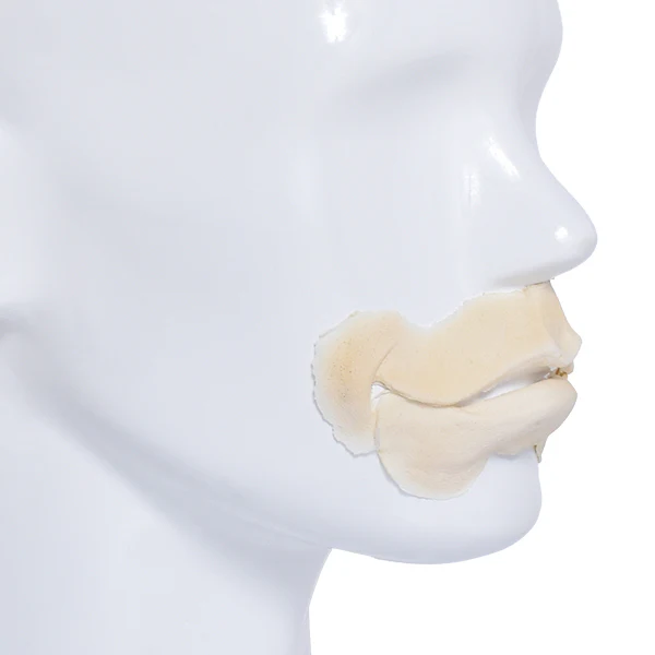 Foam Latex Prosthetic Smile Lip Set - Image 2