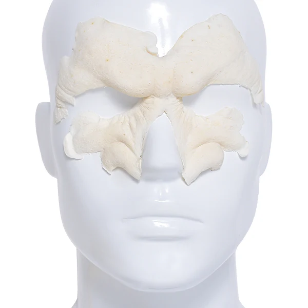 Foam Latex Prosthetic Snarl