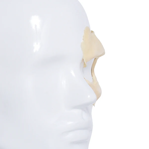 Foam Latex Prosthetic Zombie Eye #2 - Image 6