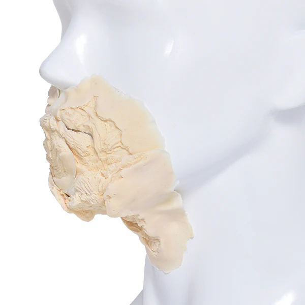Foam Latex Prosthetic Zombie Small Mouth - Image 3
