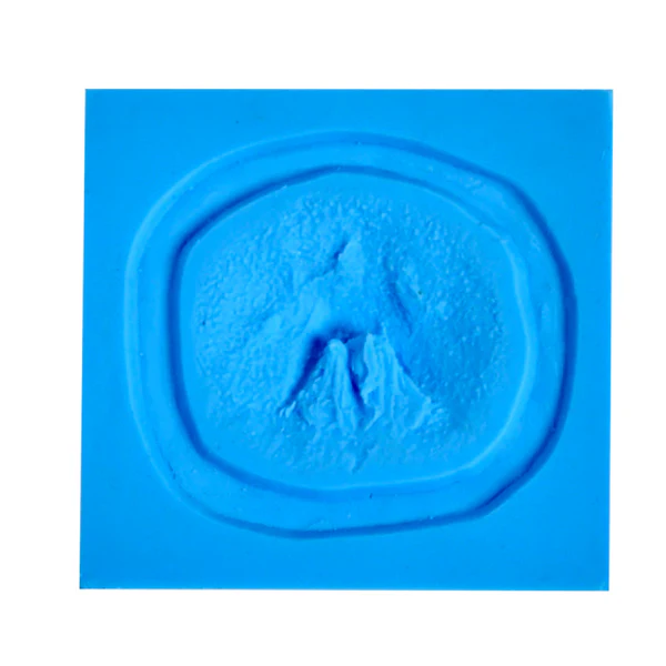 Zombie Molds - Image 13